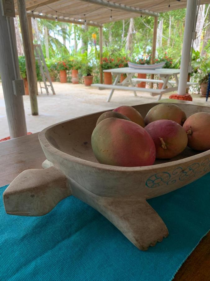 Casita Caribe En Reserva Natural, Playa Privada, Kayaks, Wifi, Aire Acondicionado San Onofre Екстериор снимка